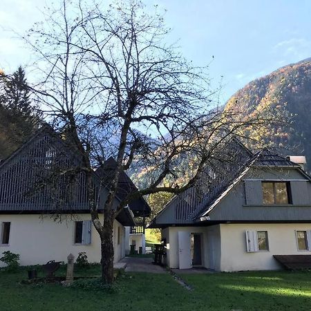 Cozy Cottage In The Heart Of The Triglav National Park Soča Exterior foto