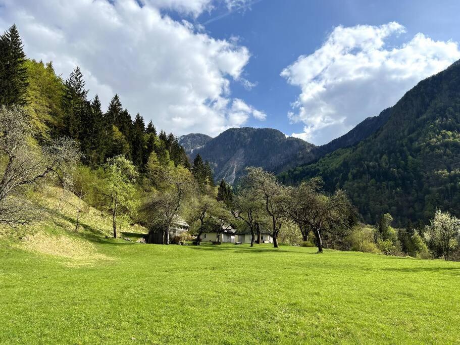 Cozy Cottage In The Heart Of The Triglav National Park Soča Exterior foto