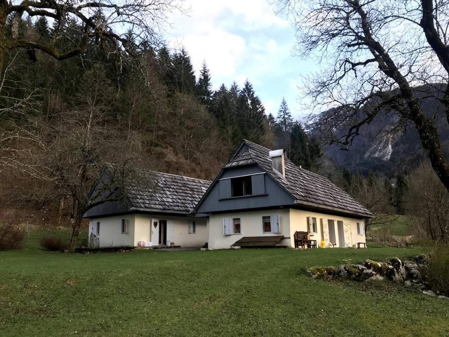 Cozy Cottage In The Heart Of The Triglav National Park Soča Exterior foto