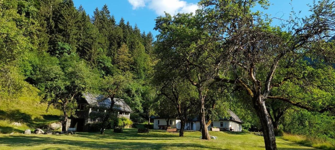 Cozy Cottage In The Heart Of The Triglav National Park Soča Exterior foto