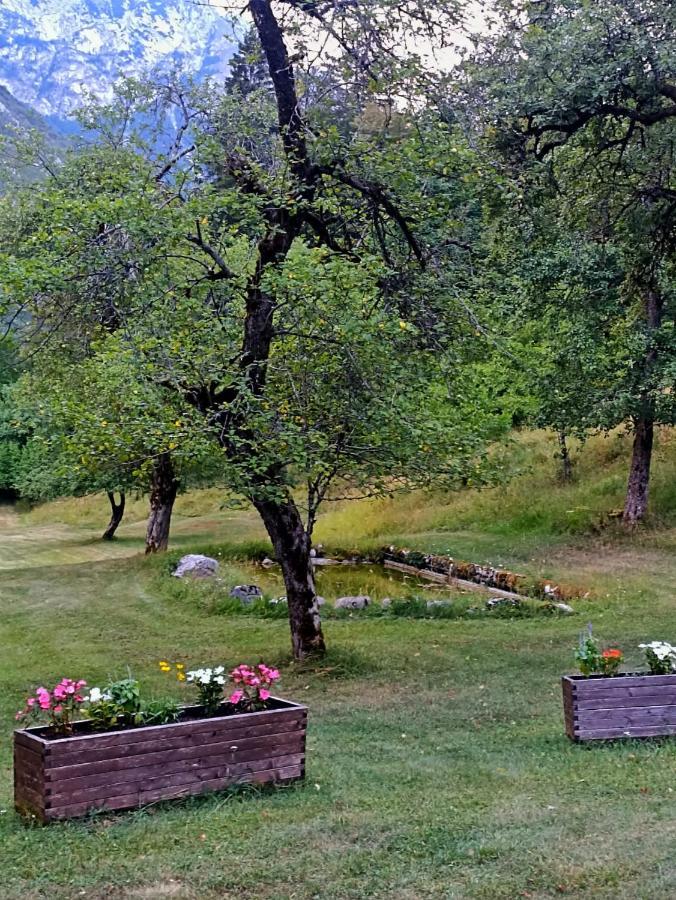 Cozy Cottage In The Heart Of The Triglav National Park Soča Exterior foto