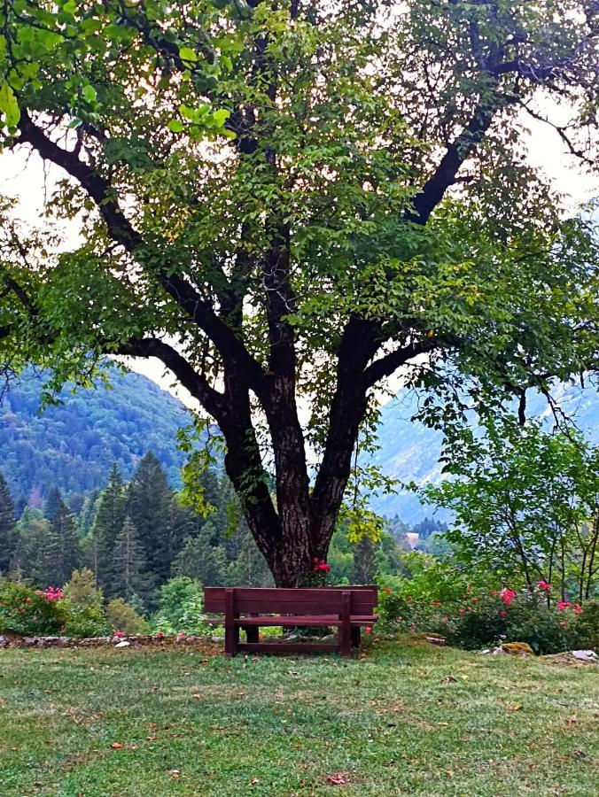 Cozy Cottage In The Heart Of The Triglav National Park Soča Exterior foto